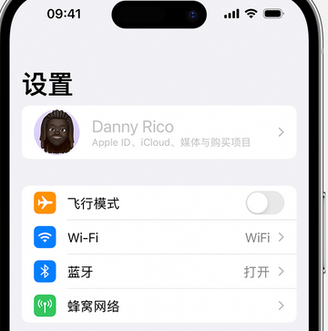 德安appleID维修服务iPhone设置中Apple ID显示为灰色无法使用