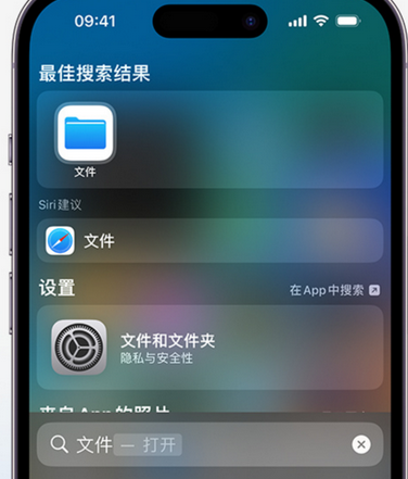 德安apple维修中心分享iPhone文件应用中存储和找到下载文件 