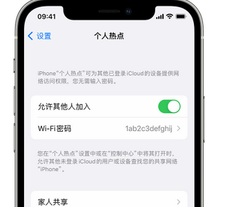 德安apple服务站点分享iPhone上个人热点丢失了怎么办