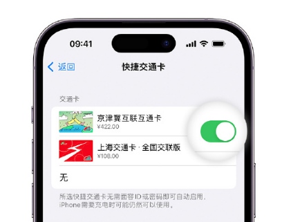 德安apple维修点分享iPhone上更换Apple Pay快捷交通卡手绘卡面 