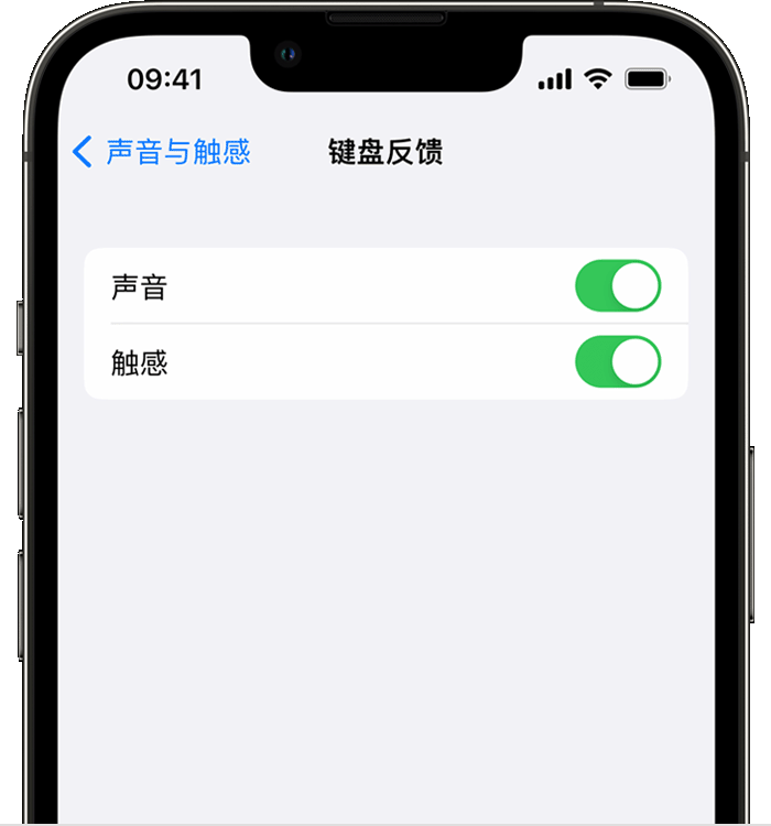 德安苹果14维修店分享如何在 iPhone 14 机型中使用触感键盘 