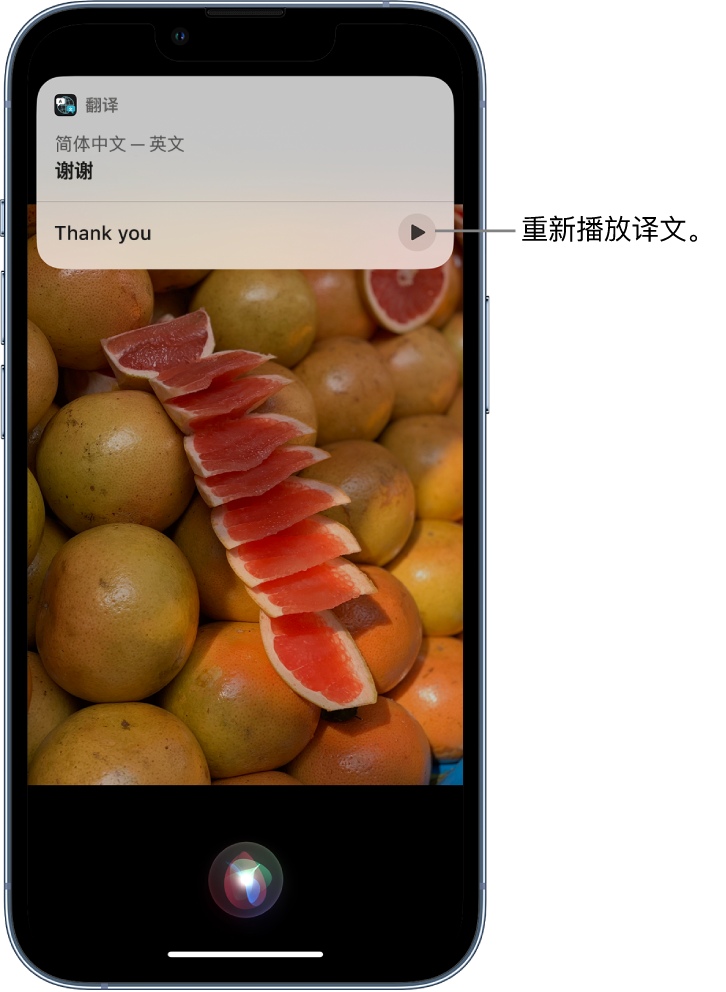 德安苹果14维修分享 iPhone 14 机型中使用 Siri：了解 Siri 能帮你做什么 