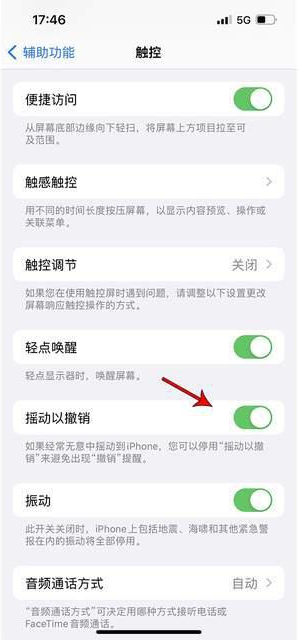 德安苹果手机维修分享iPhone手机如何设置摇一摇删除文字 