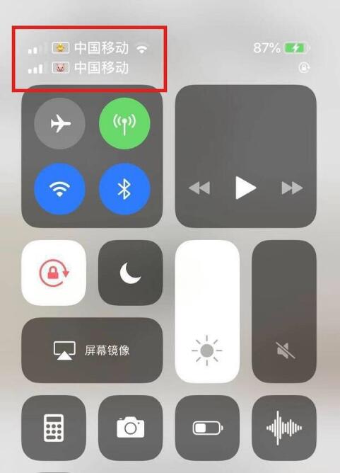 德安苹果手机维修分享为 iPhone 12 双卡设置标签 